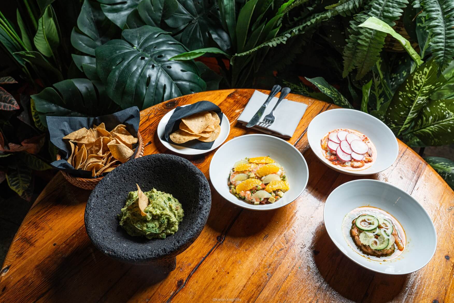 Wooden table with bowls of guacamole, fresh chips, and three dishes garnished with sliced radishes, citrus, and cucumber surrounded by tropical plants.