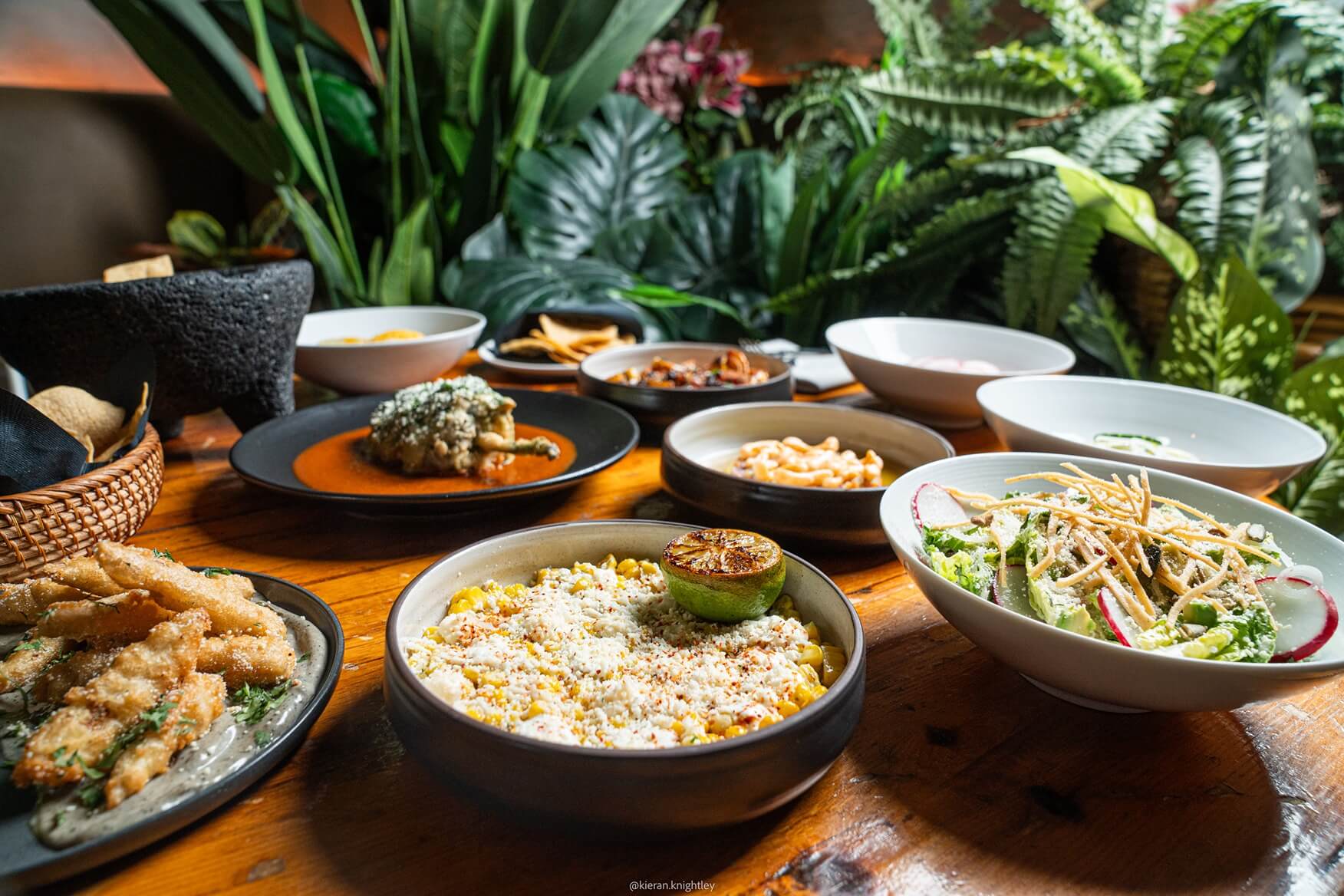 Table with multiple Mexican dishes including esquites with cheese and grilled lime, a salad with radishes and crispy strips, and various other plated foods with green plants in the background.
